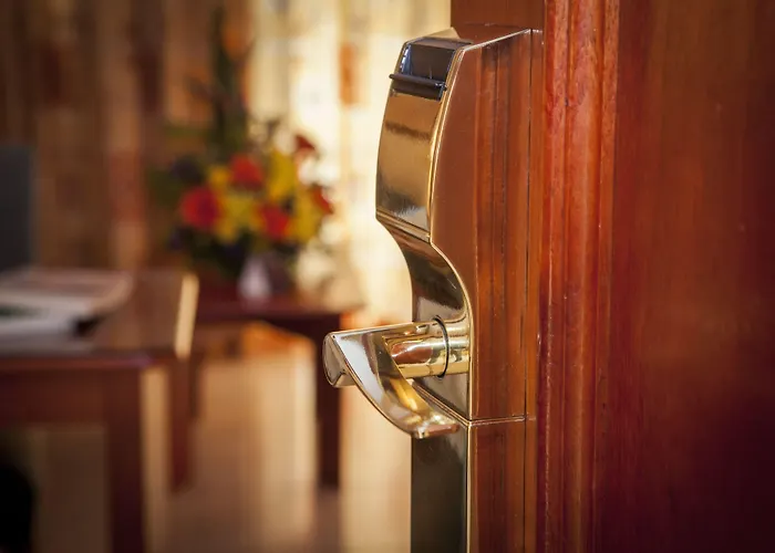 Alexandre La Siesta מלון פלאייה דה לאס אמריקס